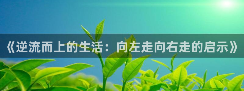 yy漫画在线观看免费：《逆流而上的生活：向左走向右走的启示》