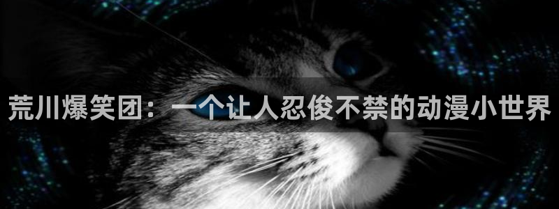 yy漫画www：荒川爆笑团：一个让人忍俊不禁的动漫小世界