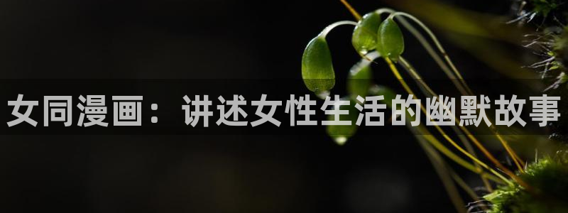 yy漫画首页登录入口页面