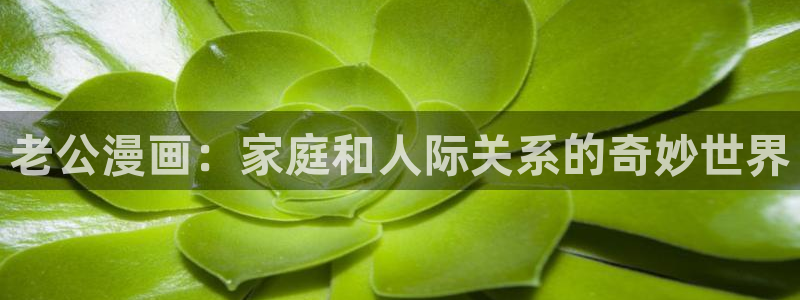 yy漫画免费阅读,下拉式网页