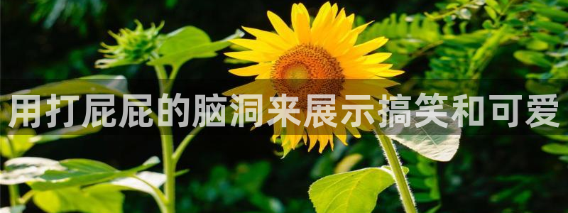 yy漫画无遮挡